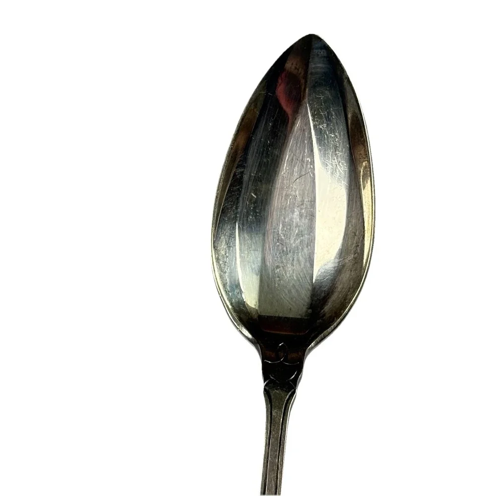 Whiting Daisy Sterling Silver Grapefruit Fruit‎ Spoon Antique 1880s Floral Art